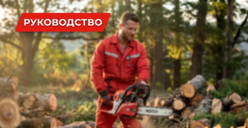 Какую цепную пилу выбрать: аккумуляторную, бензиновую или электрическую Какую цепную пилу выбрать: аккумуляторную, бензиновую или электрическую