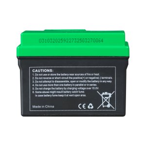 Аккумулятор FUBAG li-ion 3Ah для инверторного генератора TI 11000 A ES (арт. 646211) Аккумулятор FUBAG li-ion 3Ah для инверторного генератора TI 11000 A ES (арт. 646211) купить в Томске