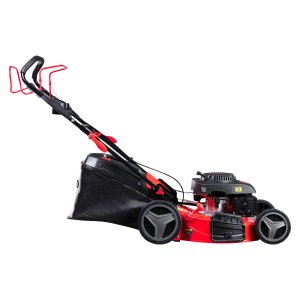 Газонокосилка бензиновая самоходная FUBAG FPL 56 SM Газонокосилка бензиновая самоходная FUBAG FPL 56 SM в Томске фото