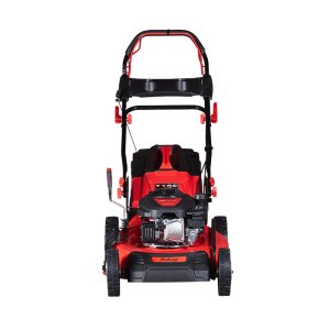 Газонокосилка бензиновая самоходная FUBAG FPL 53 SM Газонокосилка бензиновая самоходная FUBAG FPL 53 SM в Томске фото