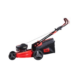 Газонокосилка бензиновая самоходная FUBAG FPL 53 SM Газонокосилка бензиновая самоходная FUBAG FPL 53 SM в Томске фото